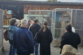 Teamanlass Vogel Ambigua